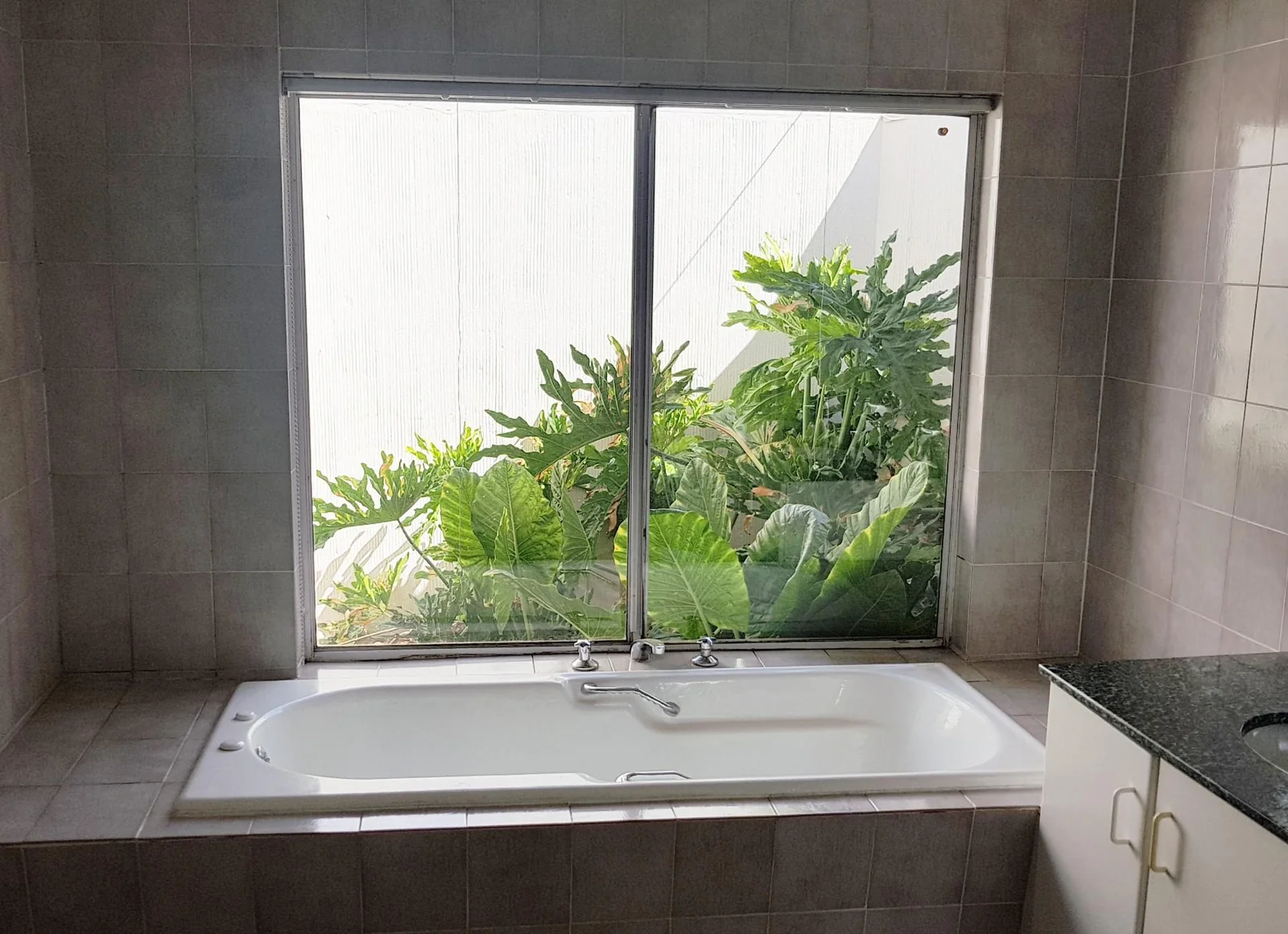 Four bedroom house to let in Fichardtpark.