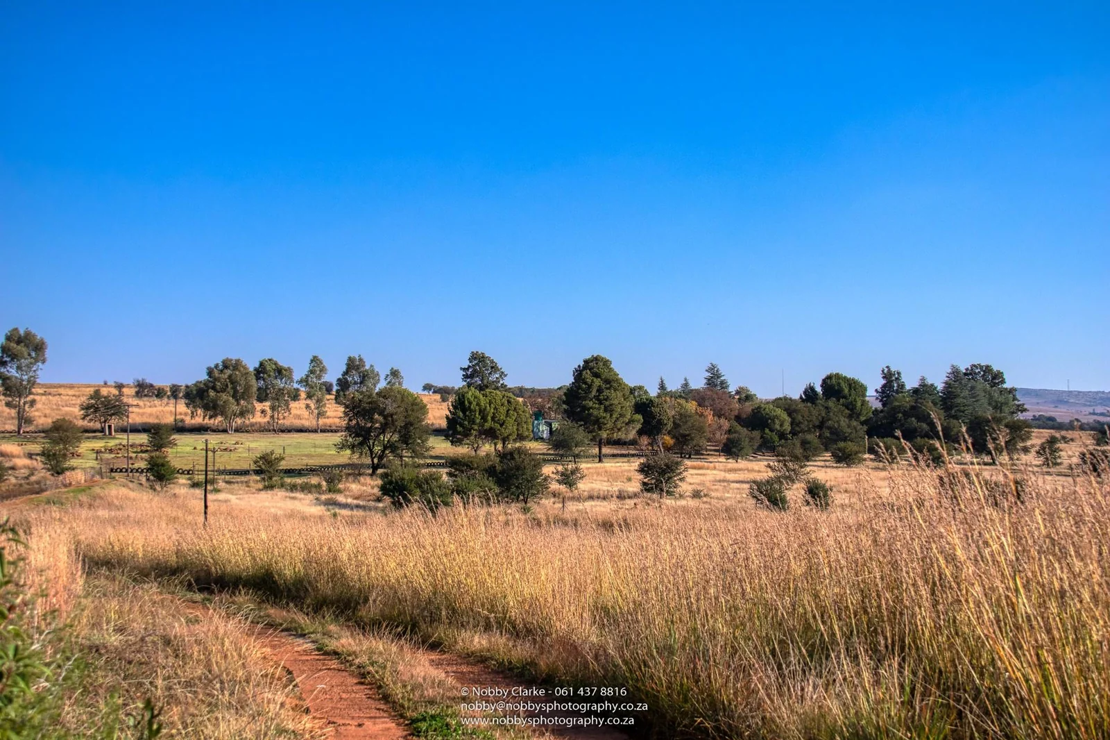 Agricultural 10.8ha Farm For Sale in Magaliesburg