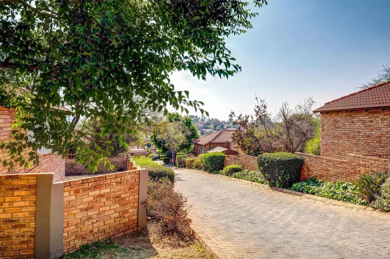 Once in a lifetime, you find an unexpected jewel.