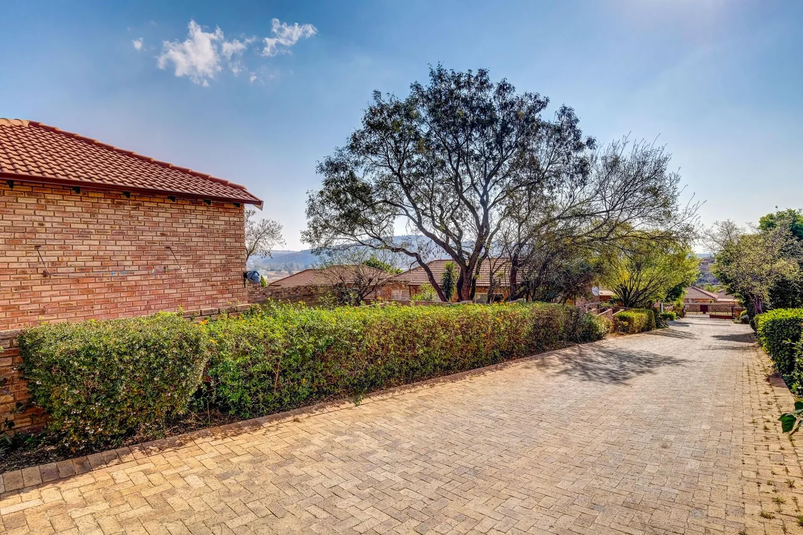 Once in a lifetime, you find an unexpected jewel.