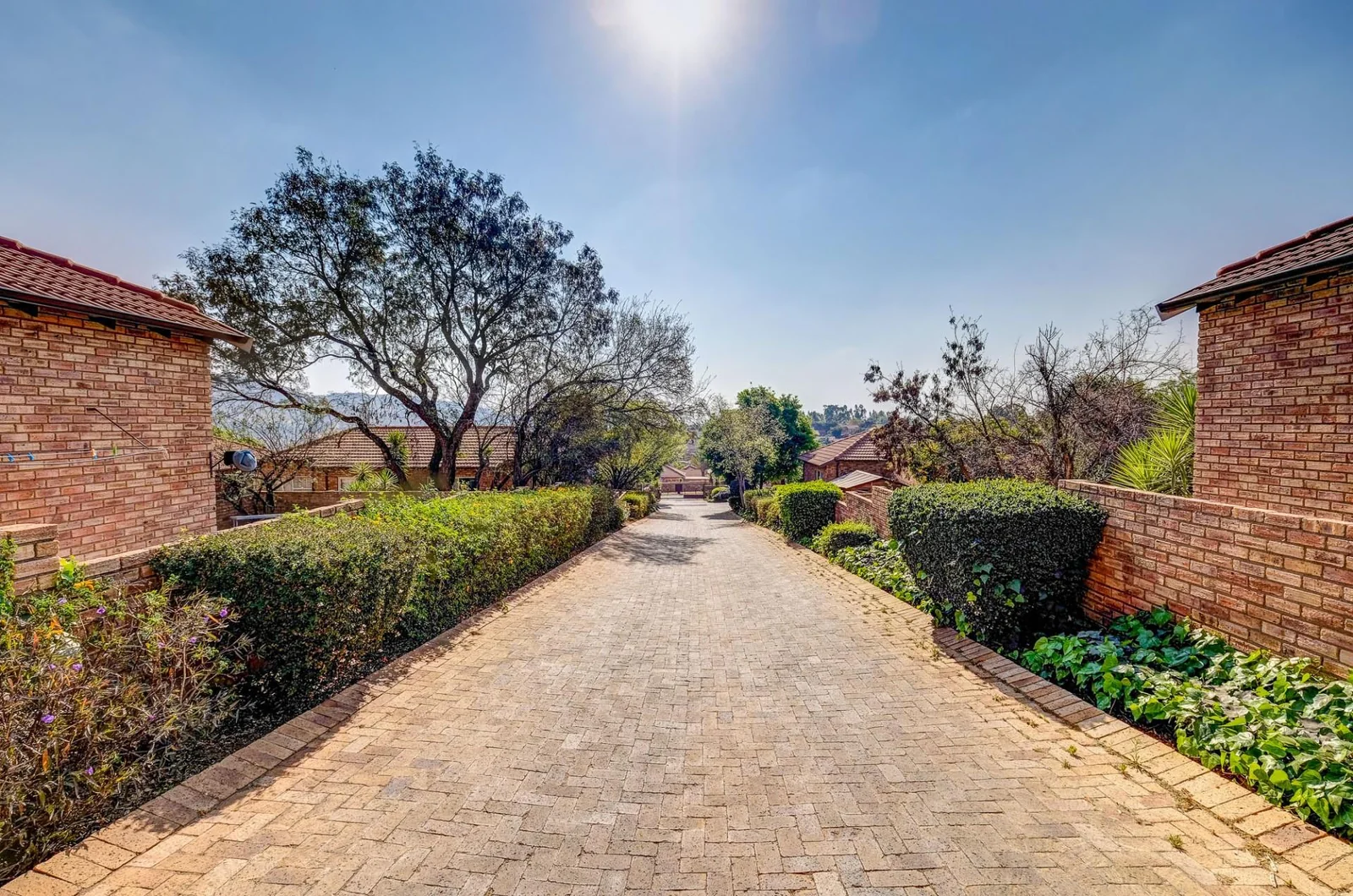 Once in a lifetime, you find an unexpected jewel.