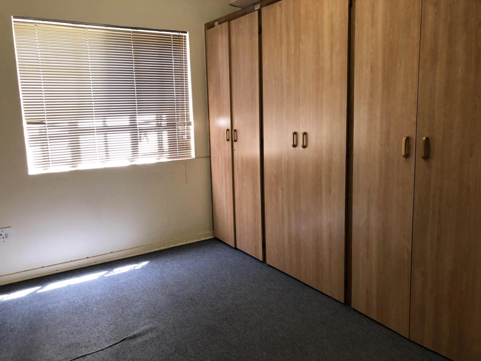 Commercial gem in Willows.