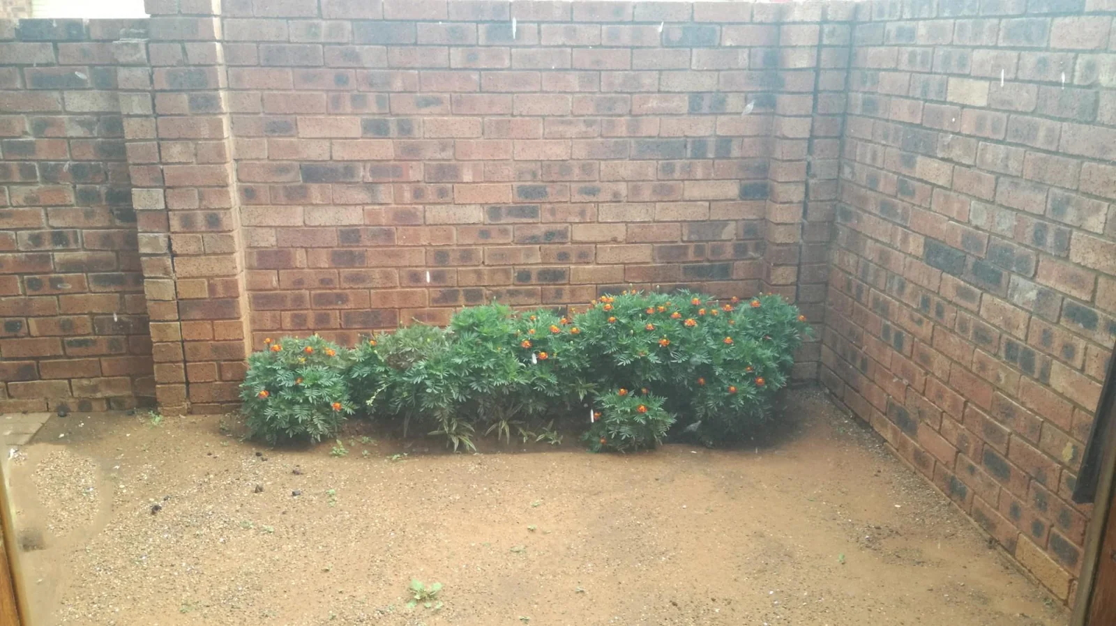 Beautiful two bedroom apartment to rent.