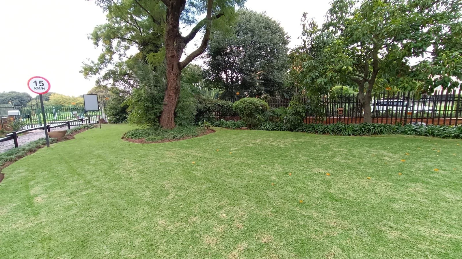 LARGE NORTH FACING  APARTMENT IN ART DECOR BUILDING