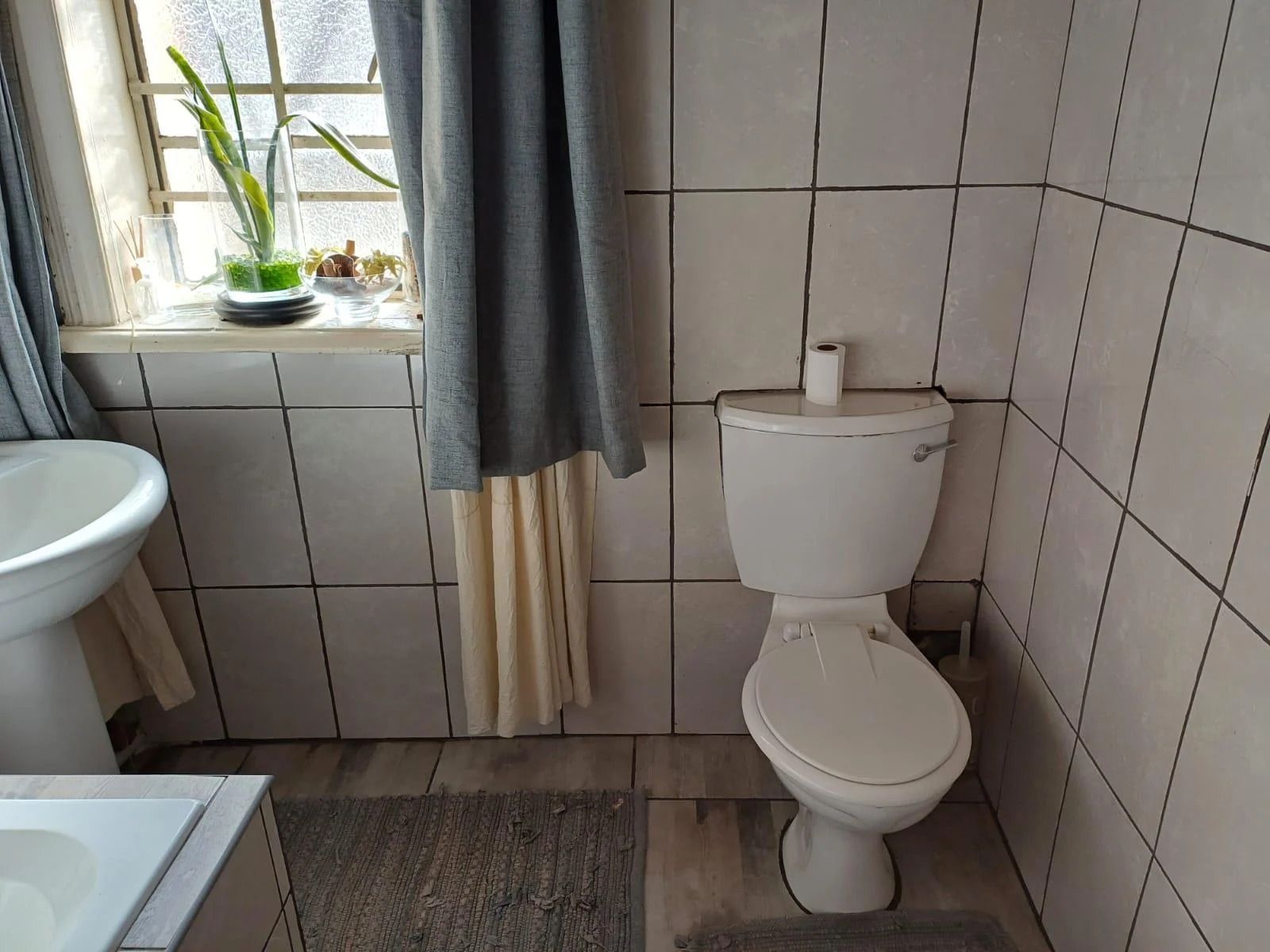 Sandstone 4 bedroom house in small town with huge stand