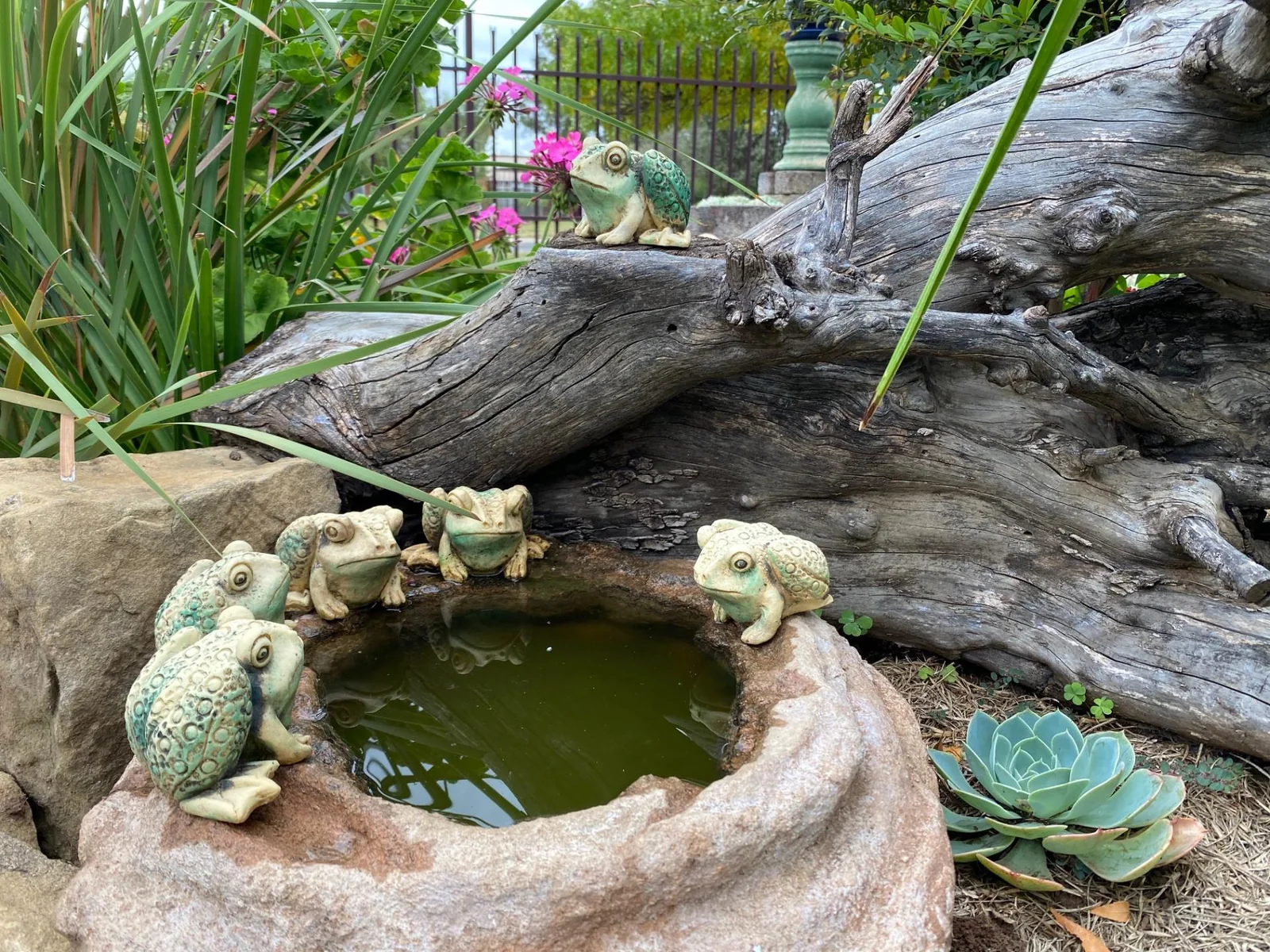 SANDSTONE HOUSE WITH LOADS OF CHARM.
