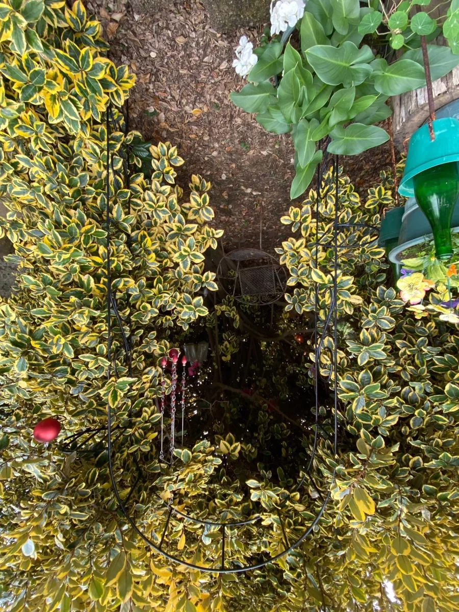 SANDSTONE HOUSE WITH LOADS OF CHARM.