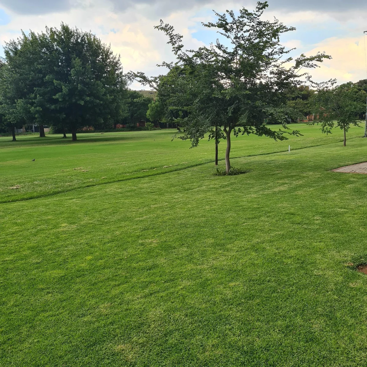 Gracious and Stylish