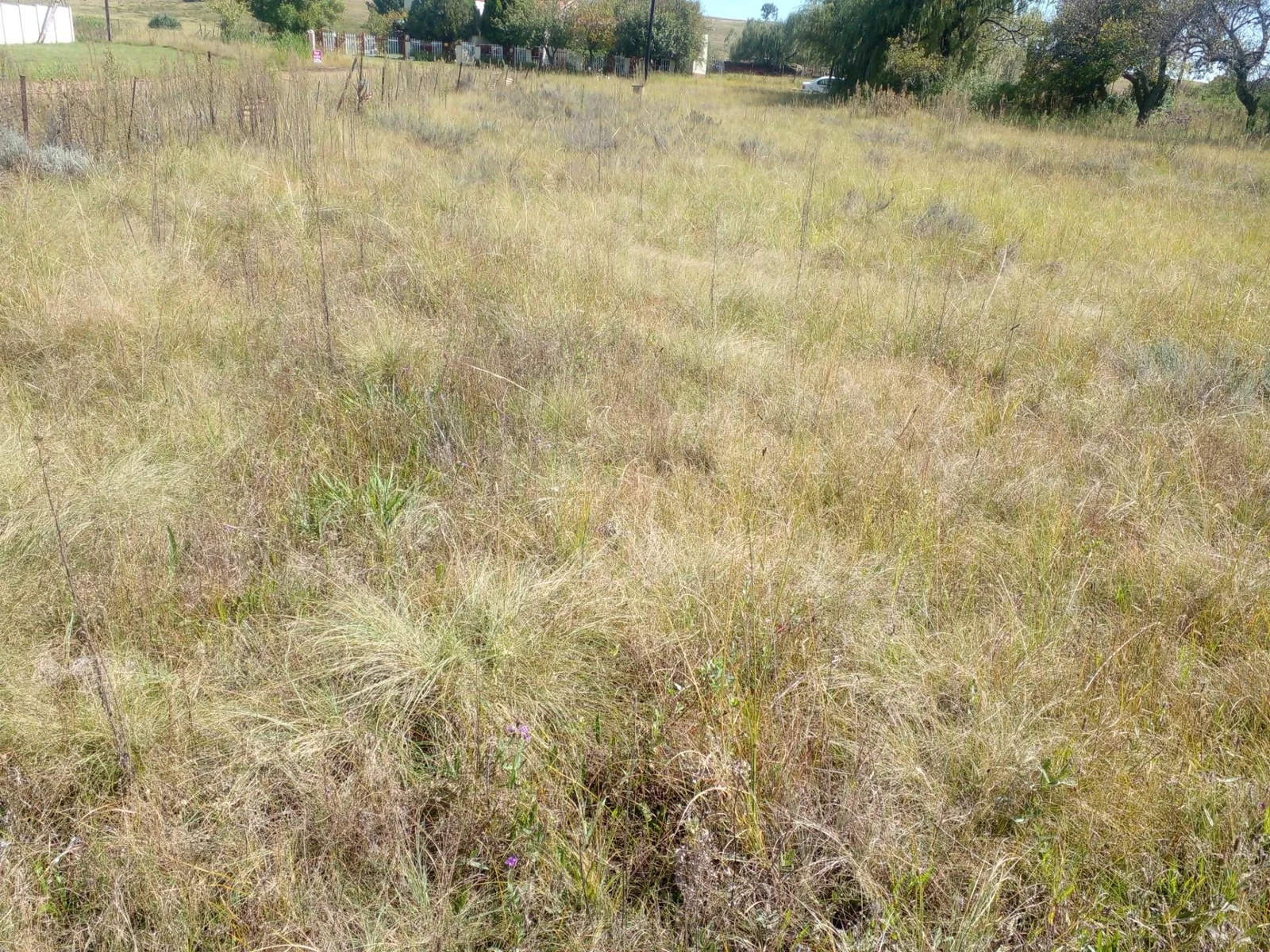 Spacious stand in Paul Roux