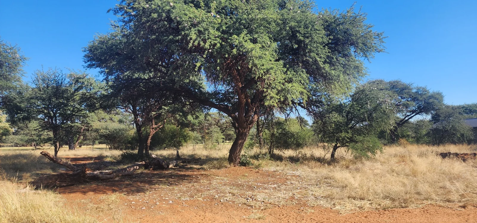 LFPE-13717