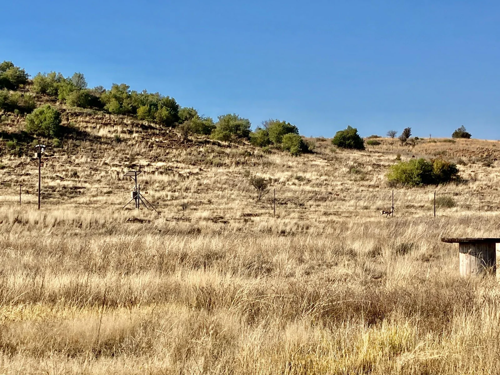 Build your dream home in Tredenham Hill