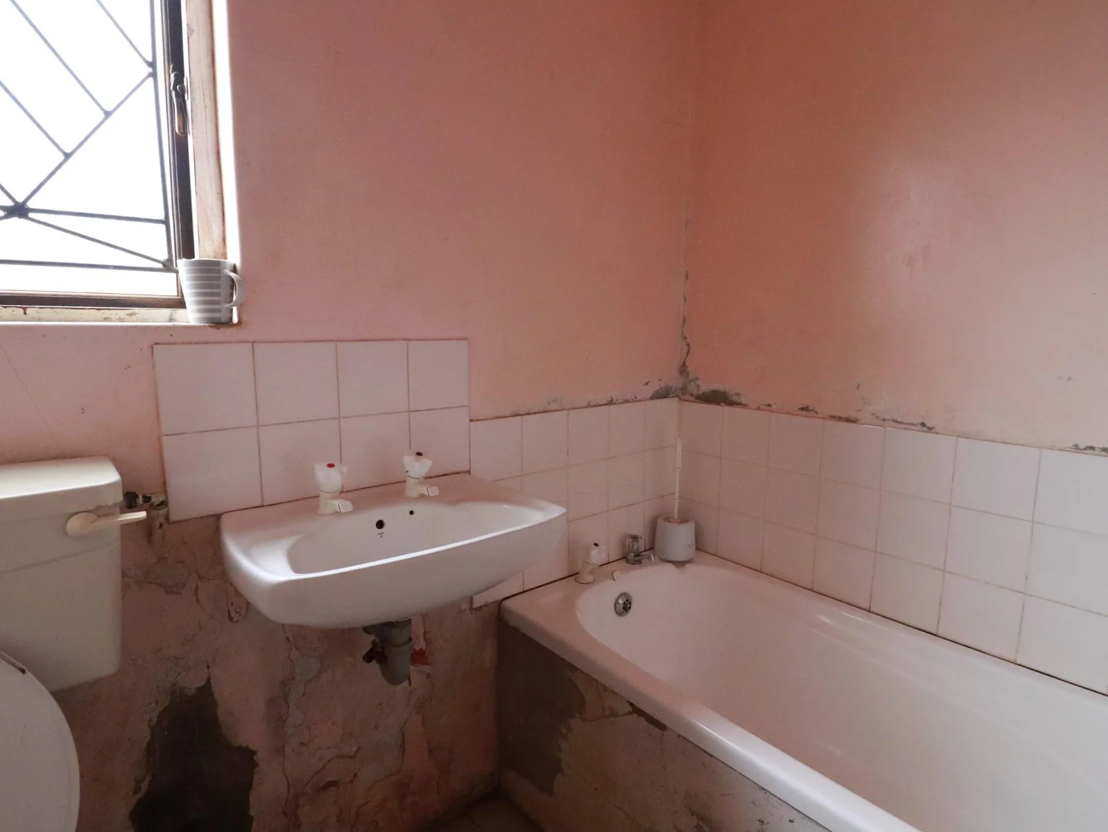 Beautiful Two Bedroom Home with Spacious Backyard