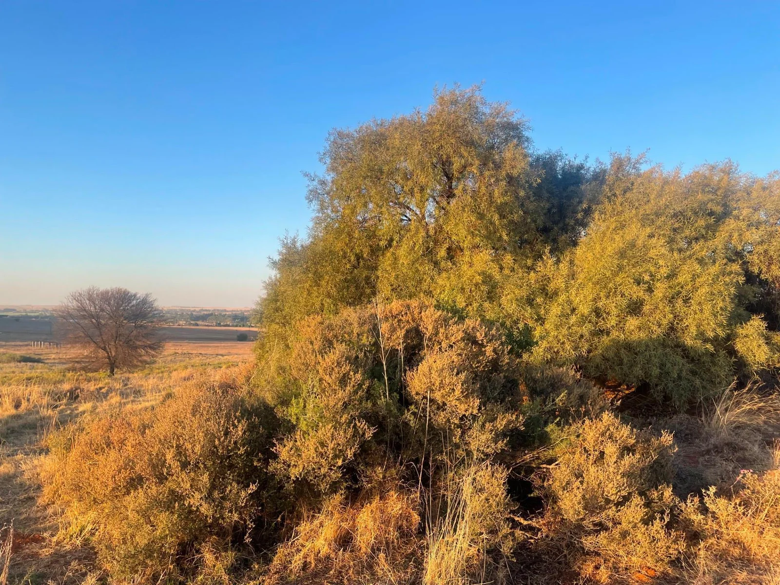 Sun sets - 360° all round Views - Close to the city