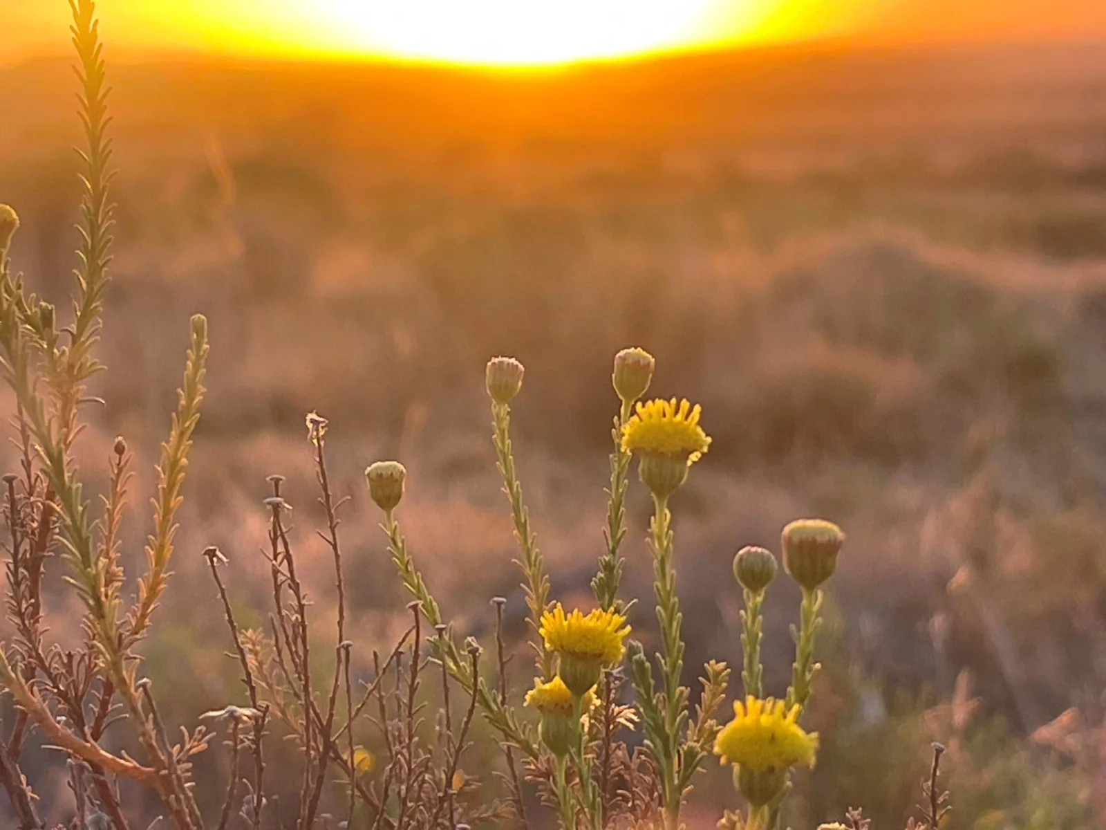 Sun sets - 360° all round Views - Close to the city