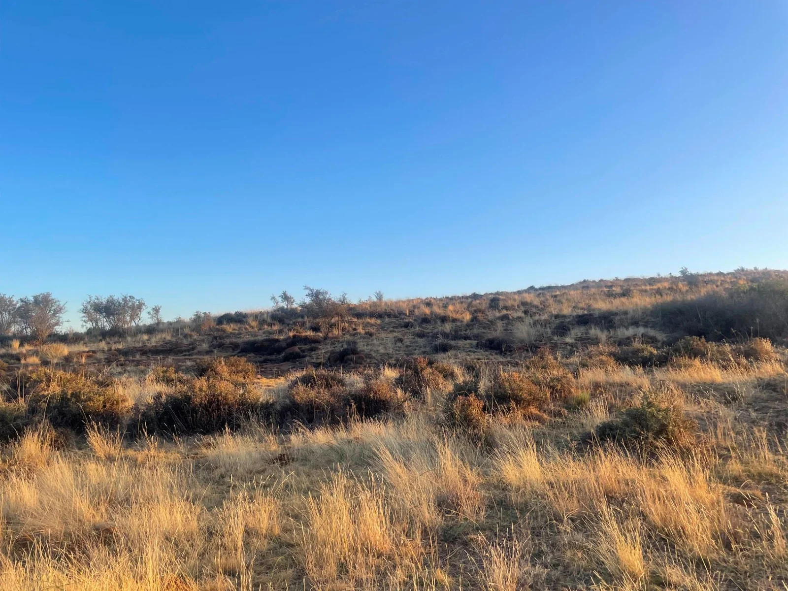 Not just land - this agricultural holding measuring 21.79ha offers 360° views including sunsets - close to the city situated in Bainsvei