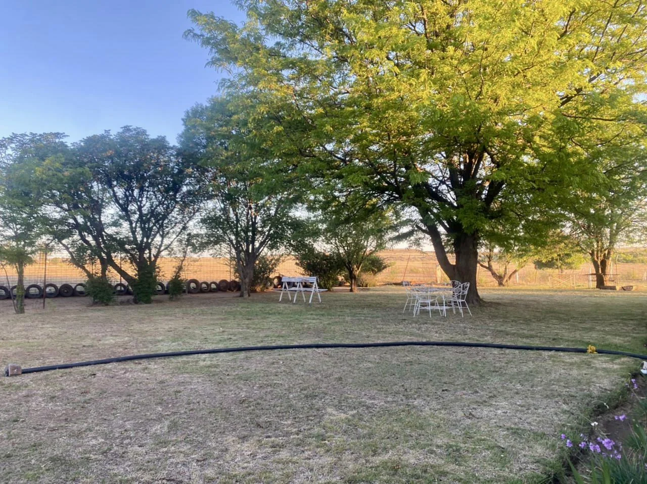 Lifestyle Farm for Sale