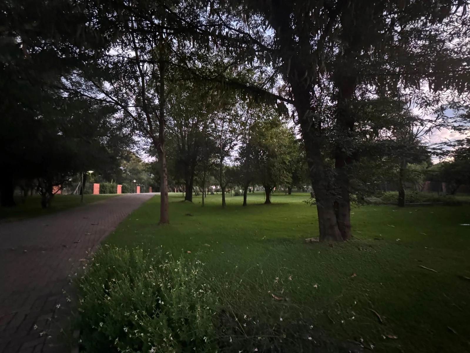 Paradise on the bank of a river