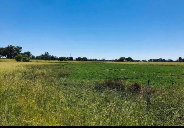 Golden Opportunity - Vacant Land Ready for your Vision