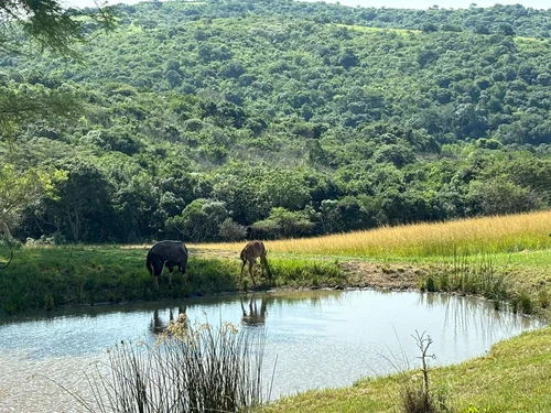 Heatonville, Empangeni