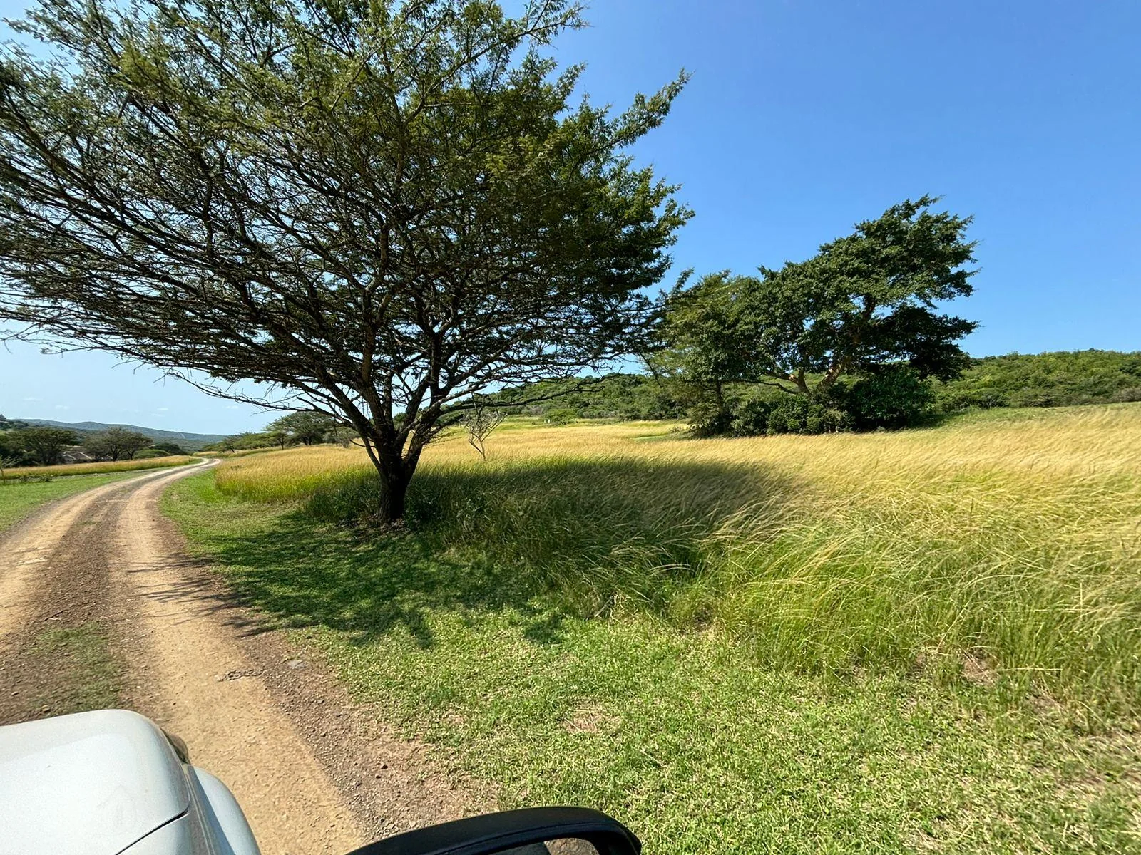 Double vacant plots of land available in Zulweni, near Heatonville -