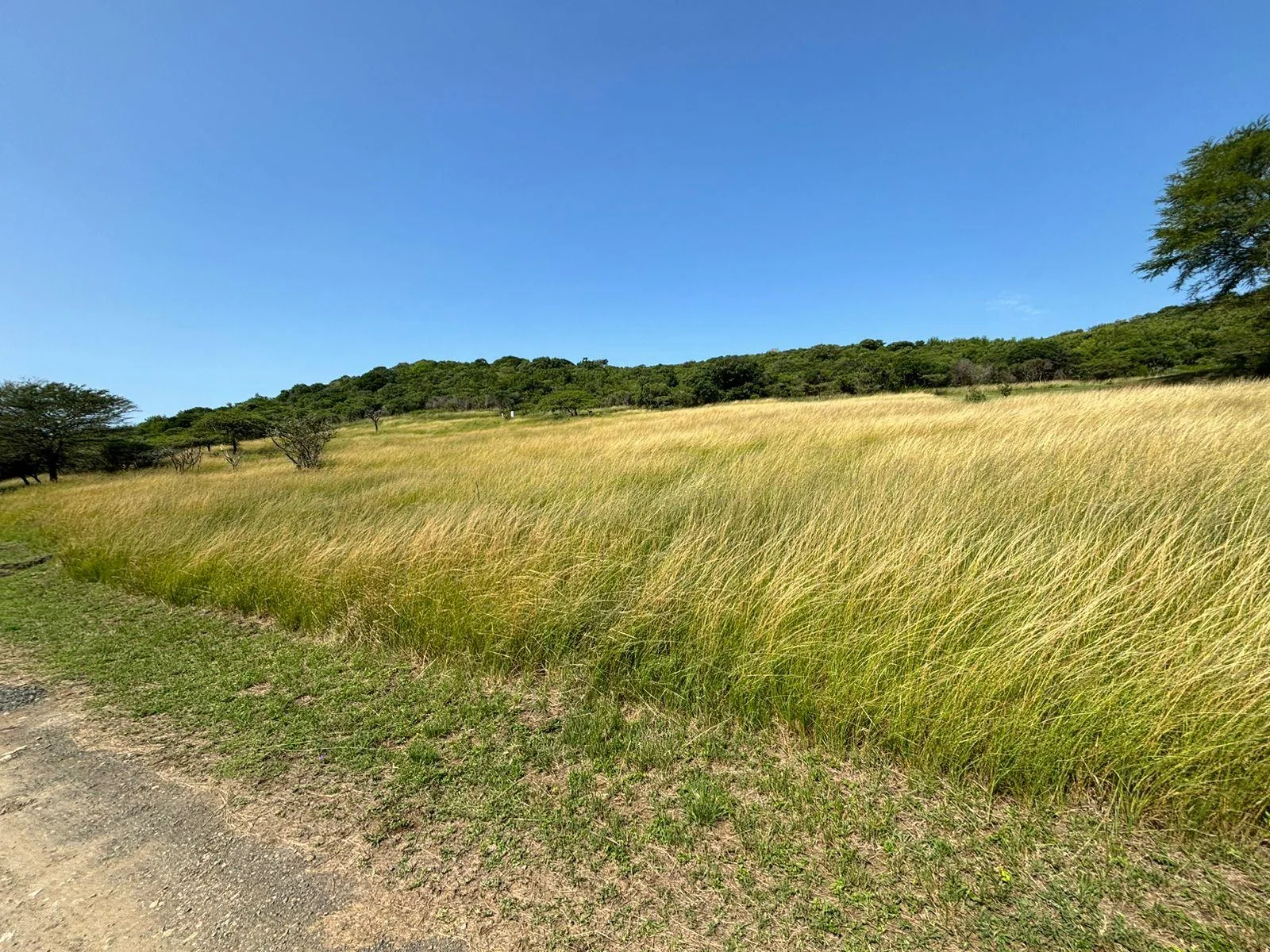 Double vacant plots of land available in Zulweni, near Heatonville -