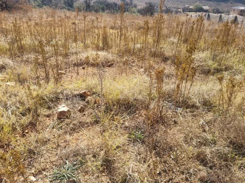 Vaaloewer, Vanderbijlpark