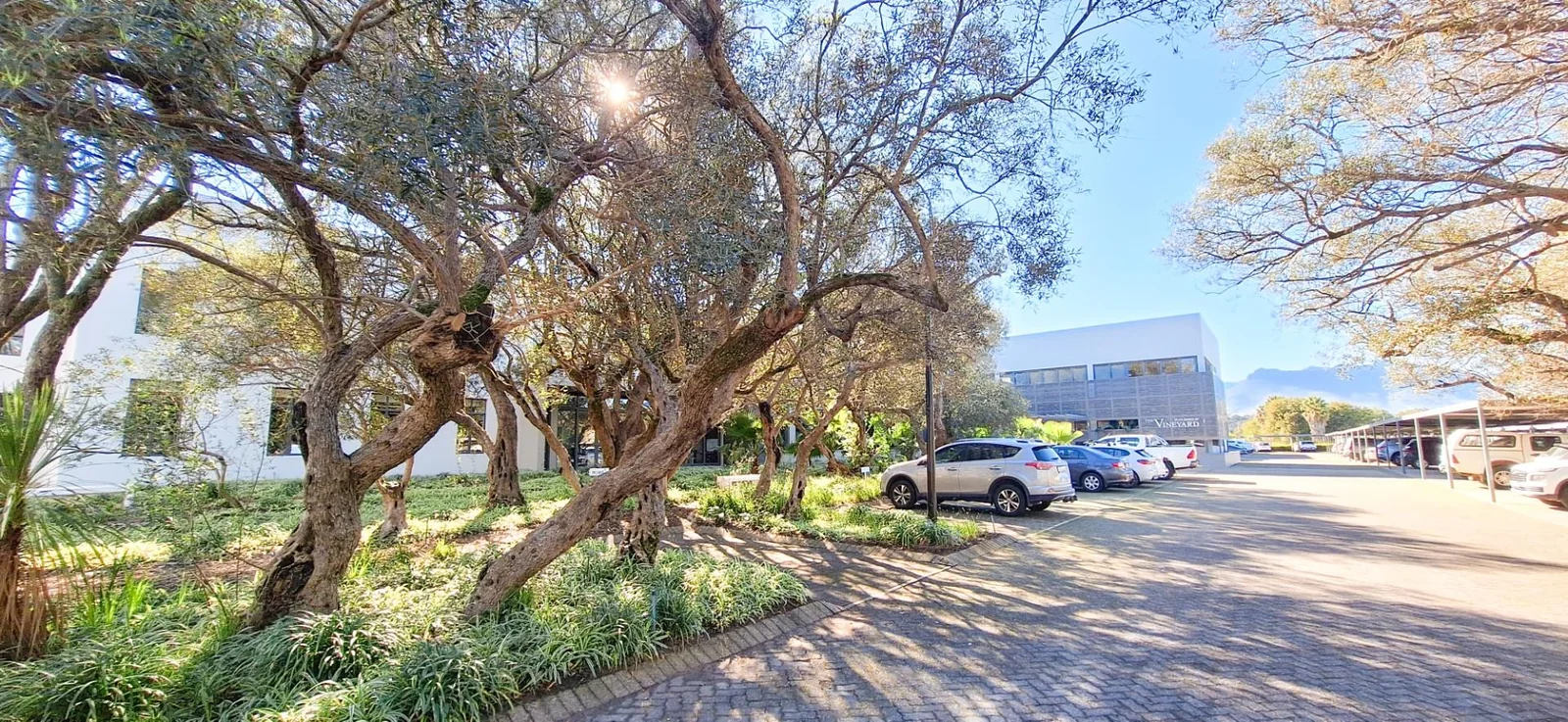 Prime Office Space available to Rent in The Vineyard Business Park, Stellenbosch