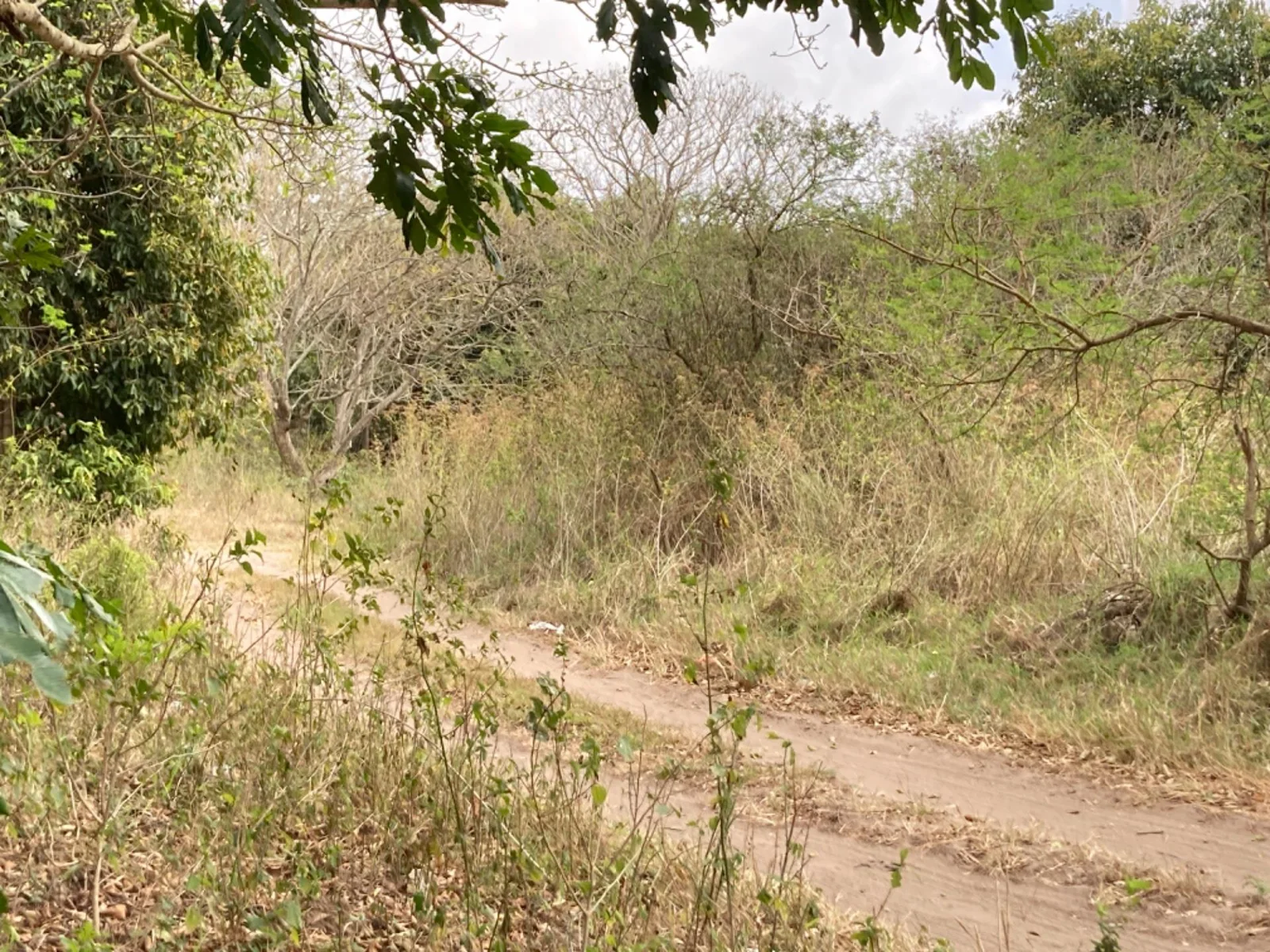 Developers Dream! Residential Land For Sale