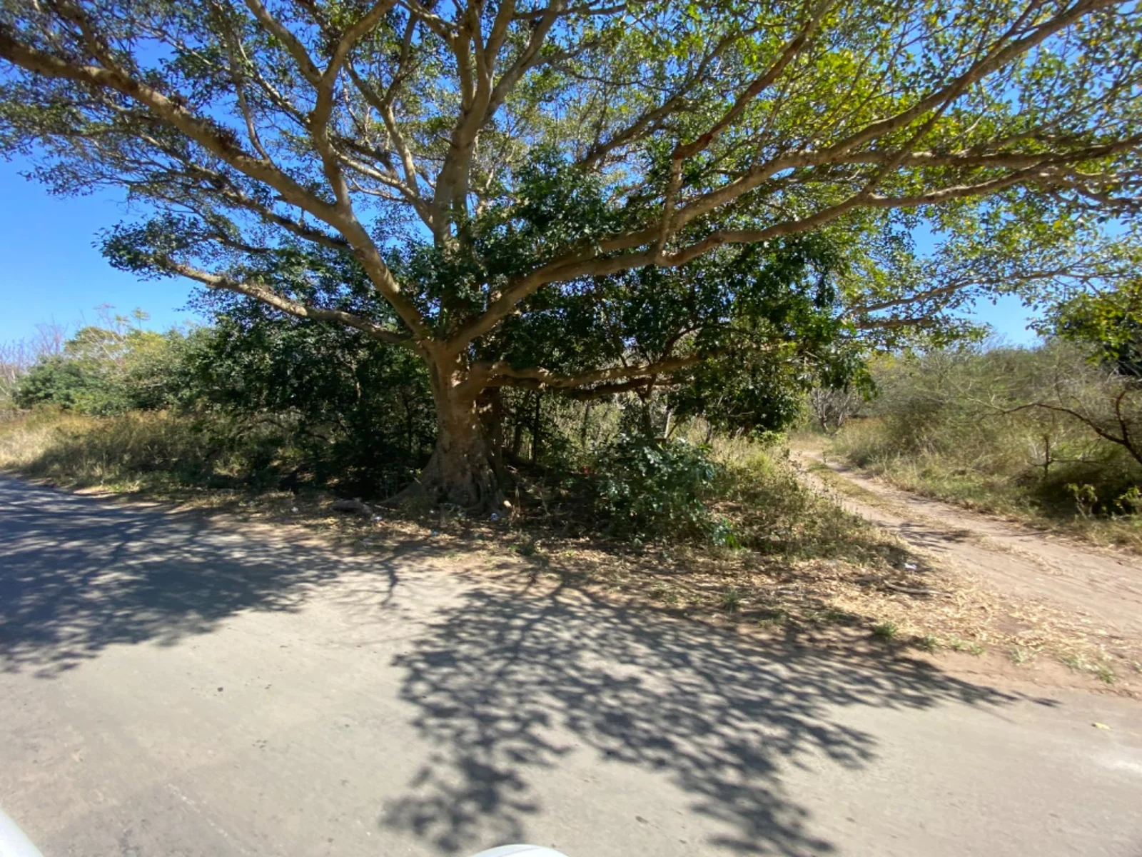 Developers Dream! Residential Land For Sale