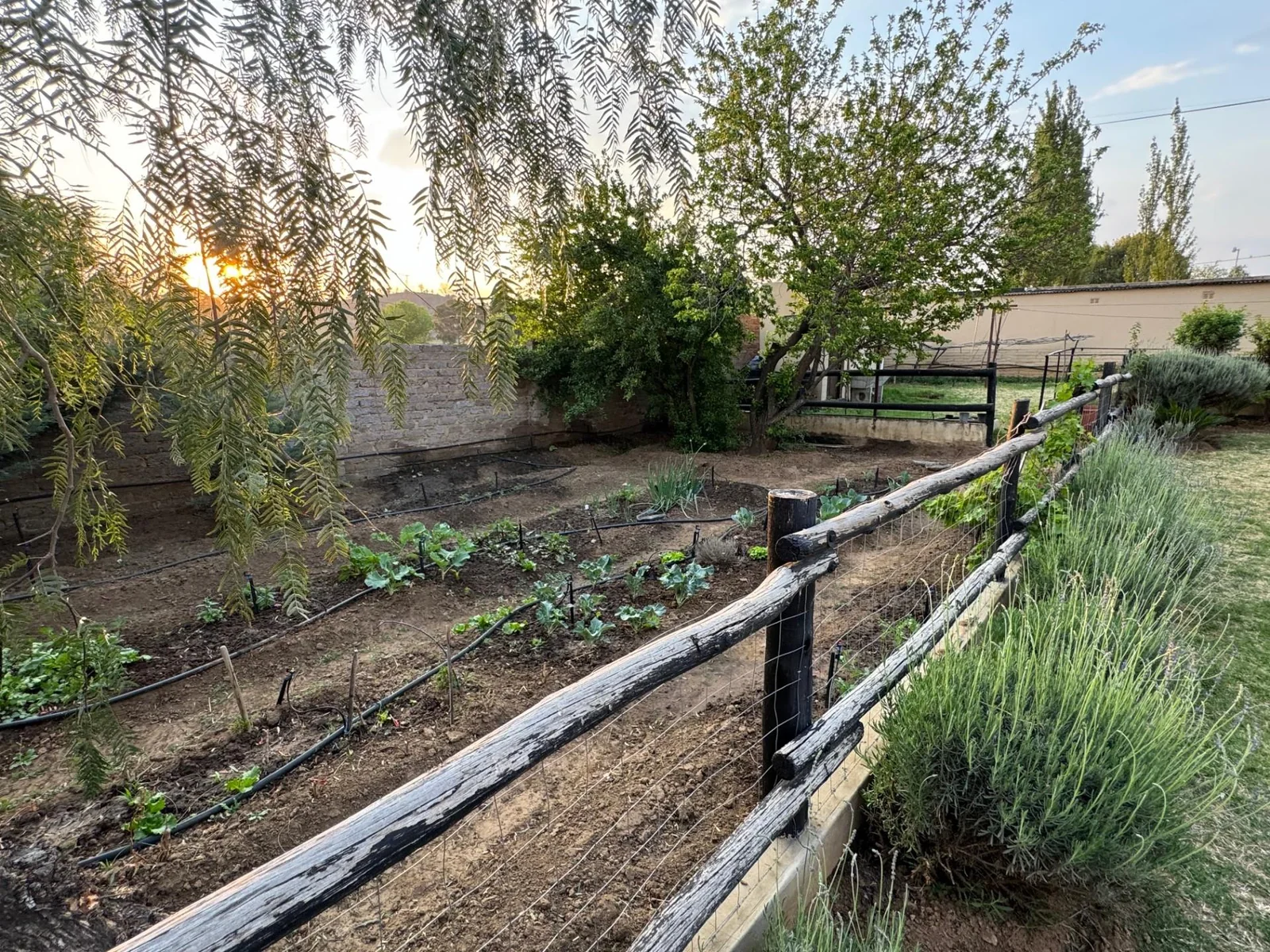 This is your opportunity to own the largest, state of the art, house in town!