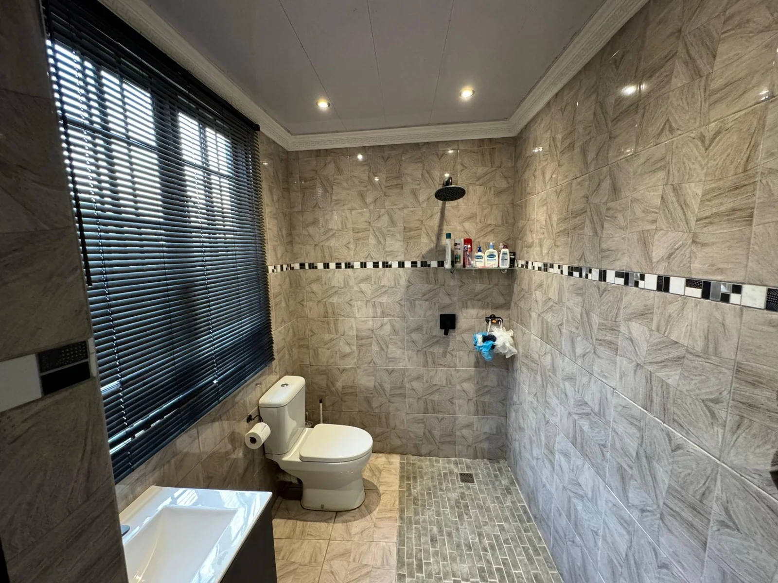 This is your opportunity to own the largest, state of the art, house in town!