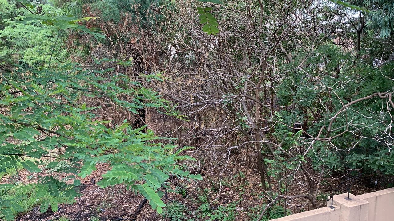 Prime Investment Opportunity: Vacant Land and Four Flats in Bedfordview