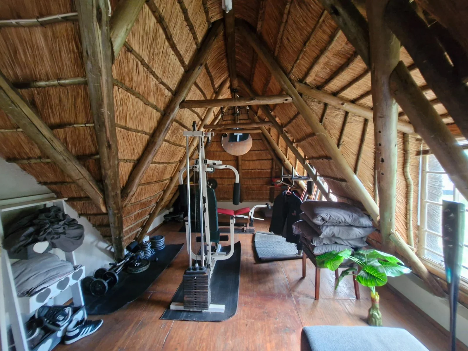 Income generating smallholding for Sale in Eden