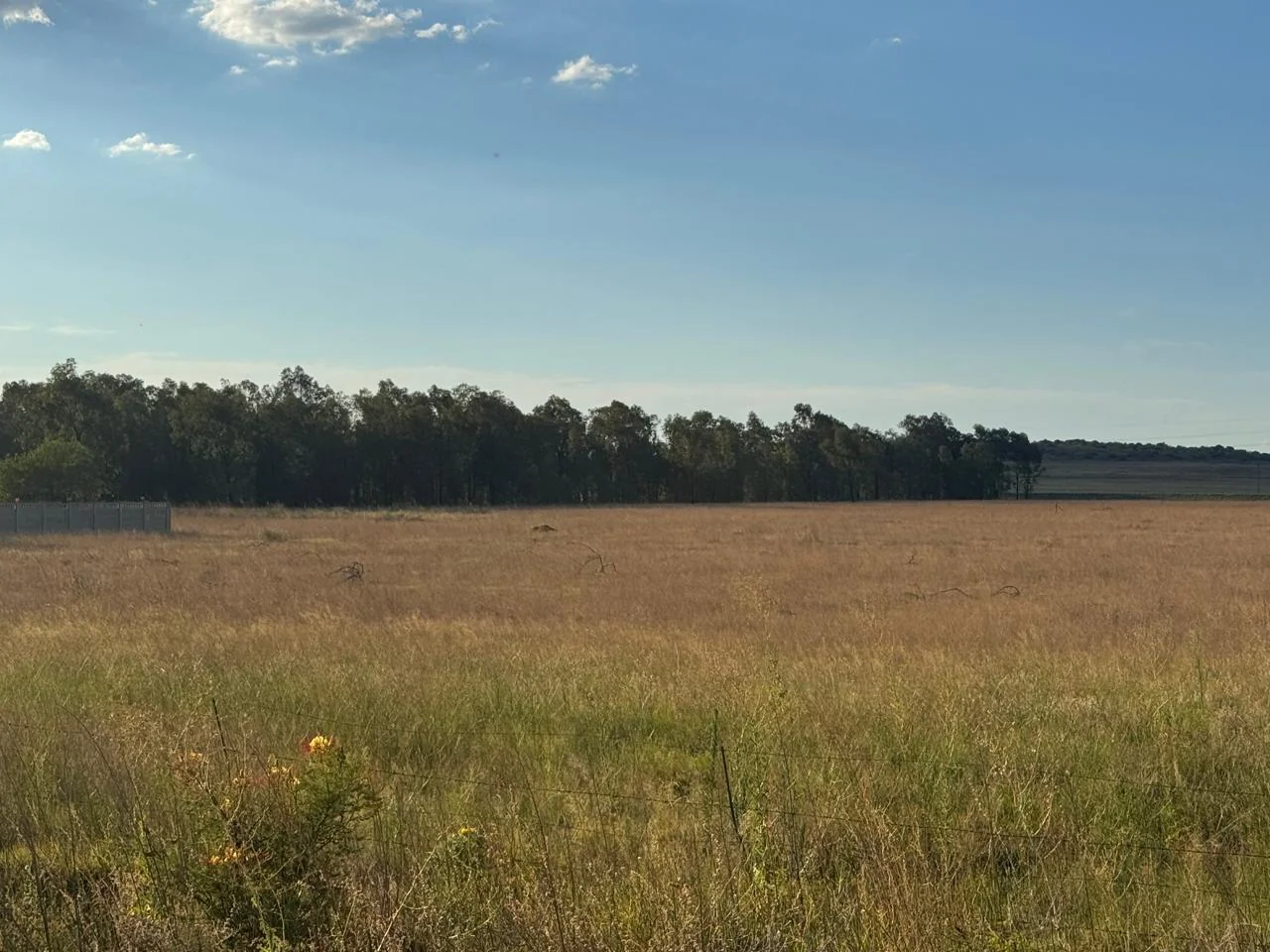 Perfect Location for your business