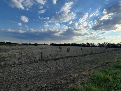 Quaggafontein, Bloemfontein