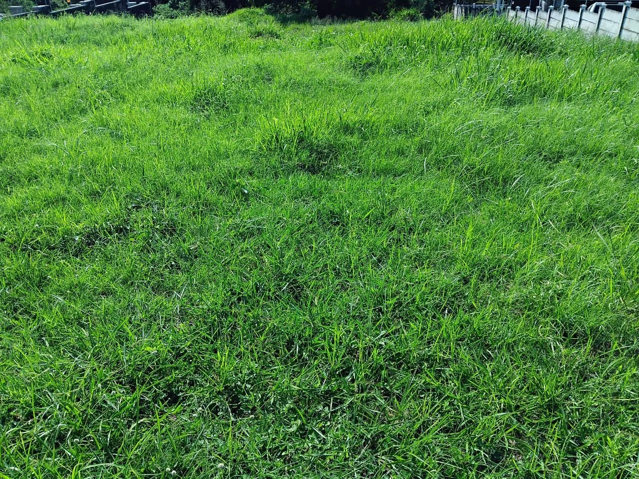 MAKE YOUR DREAM HOME A REALITY