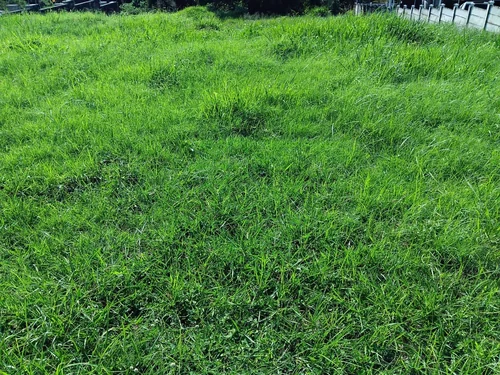 Birdswood, Richards Bay