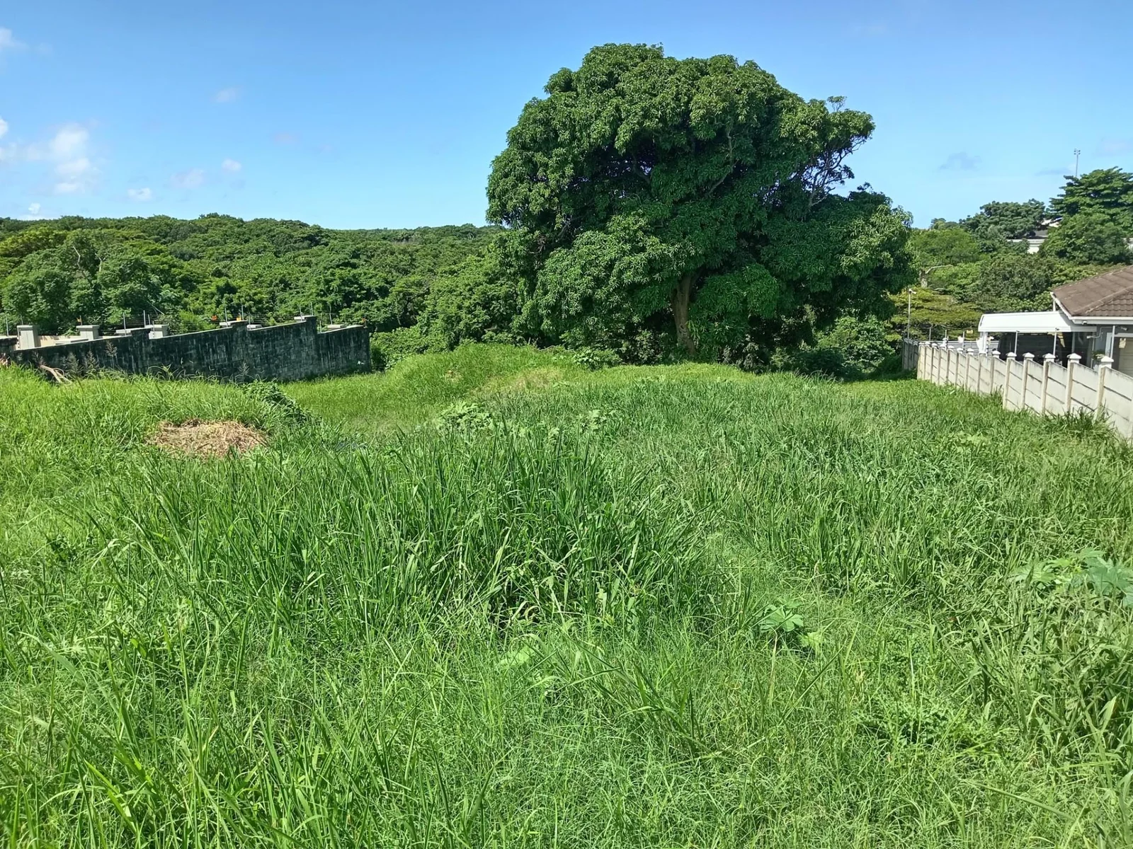 MAKE YOUR DREAM HOME A REALITY