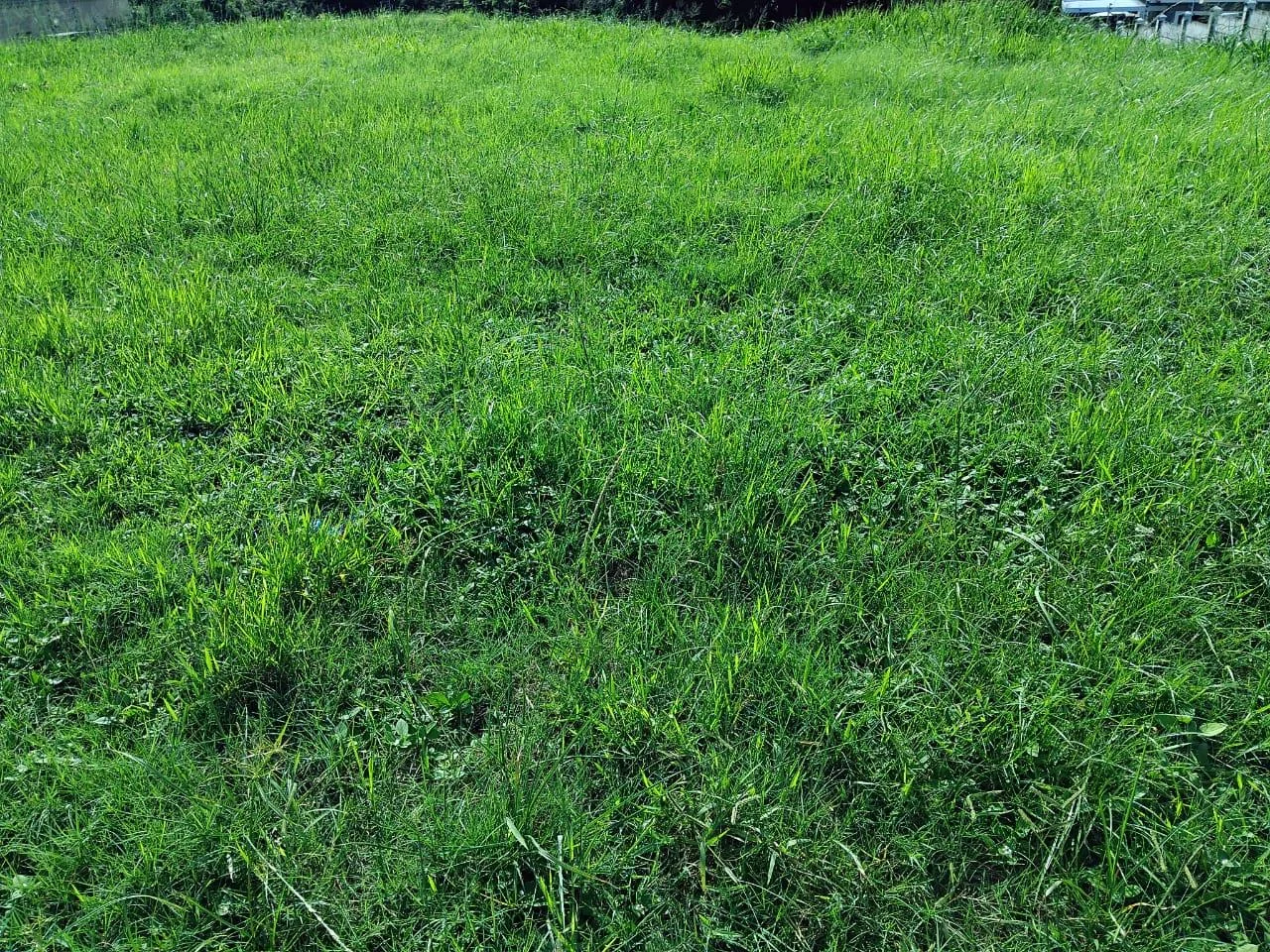 MAKE YOUR DREAM HOME A REALITY