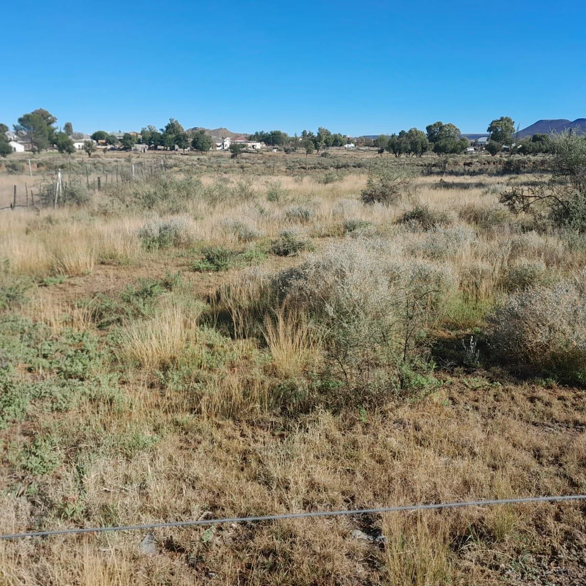 Leapfrog has a secret worth discovering