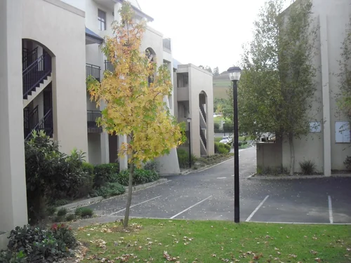Klein Welgevonden, Stellenbosch