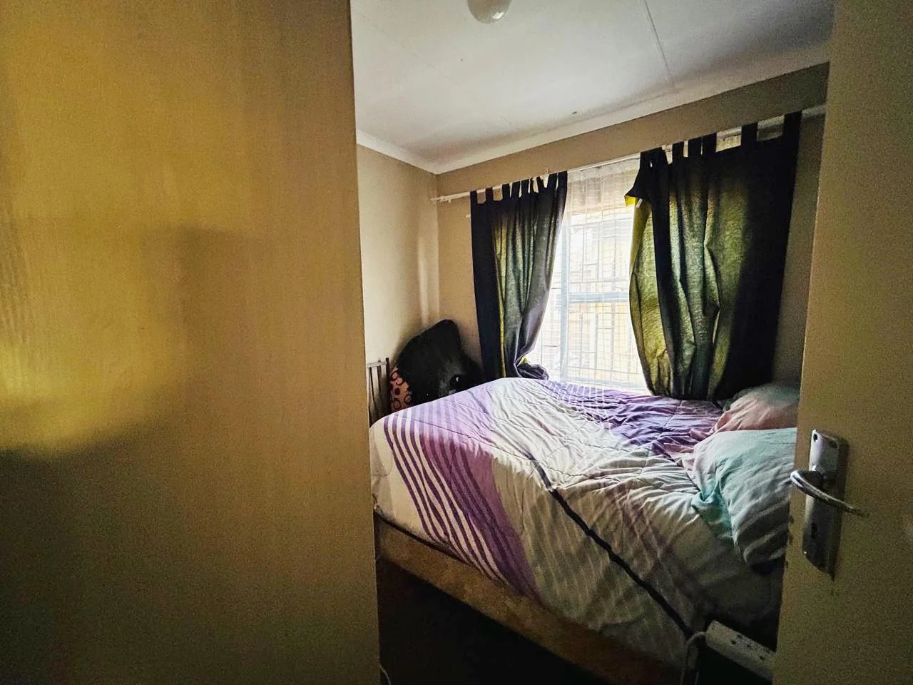 A Fresh Start Wrapped in Green