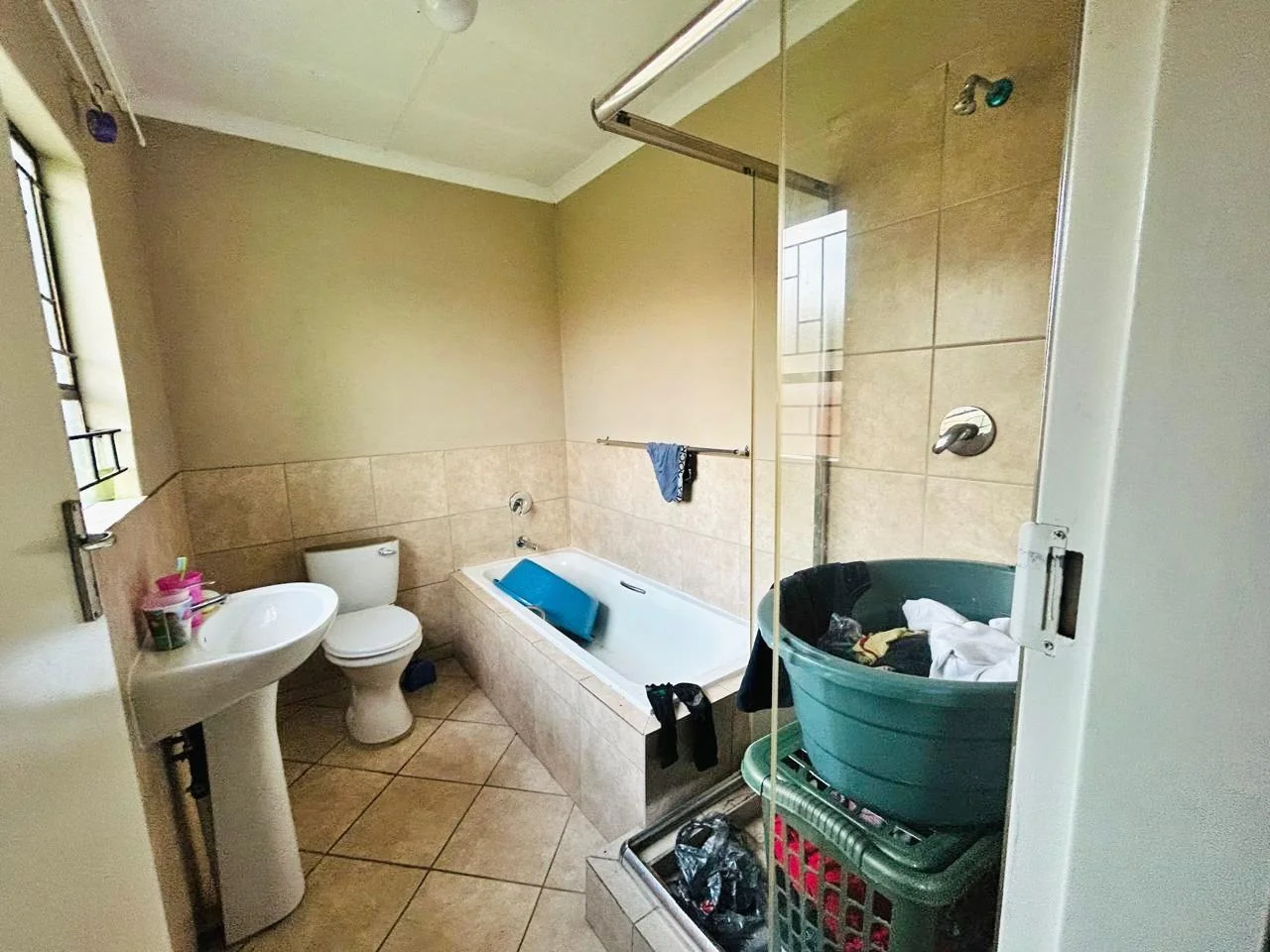 A Fresh Start Wrapped in Green