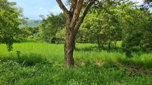 Sabie River Eco Estate, Hazyview