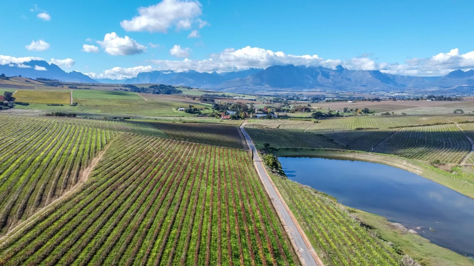 Unique opportunity to own a piece of the Winelands