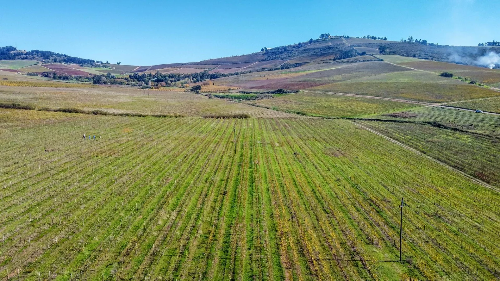 Unique opportunity to own a piece of the Winelands