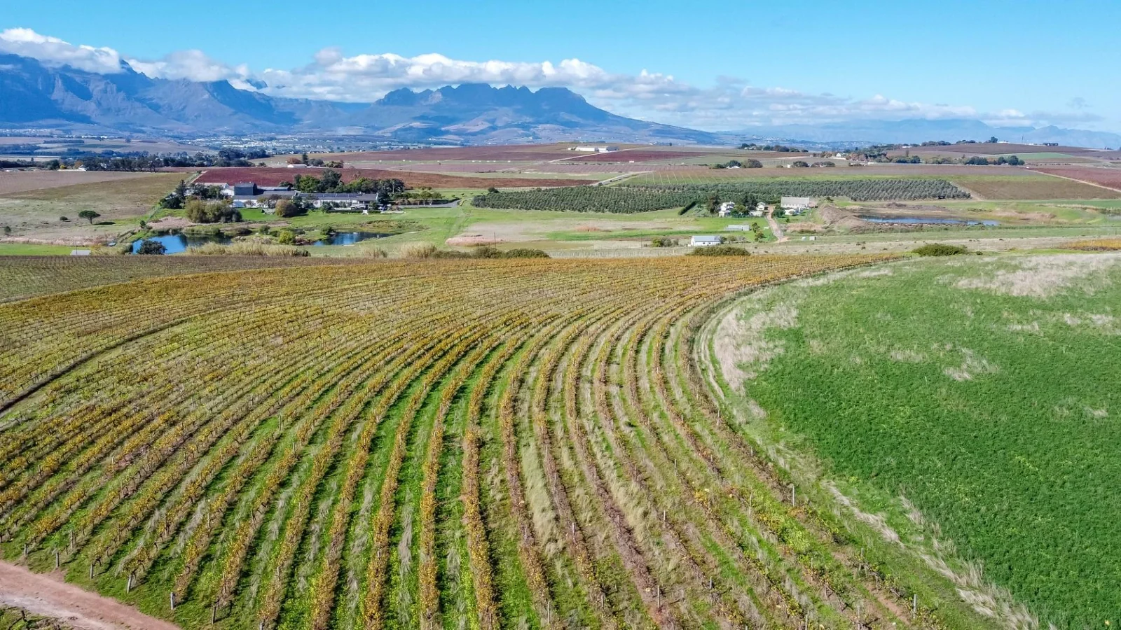 Unique opportunity to own a piece of the Winelands