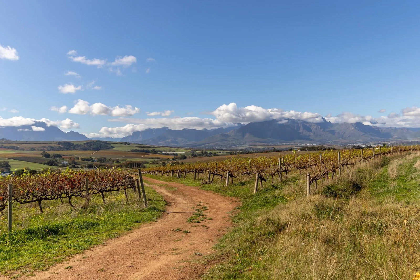 Unique opportunity to own a piece of the Winelands