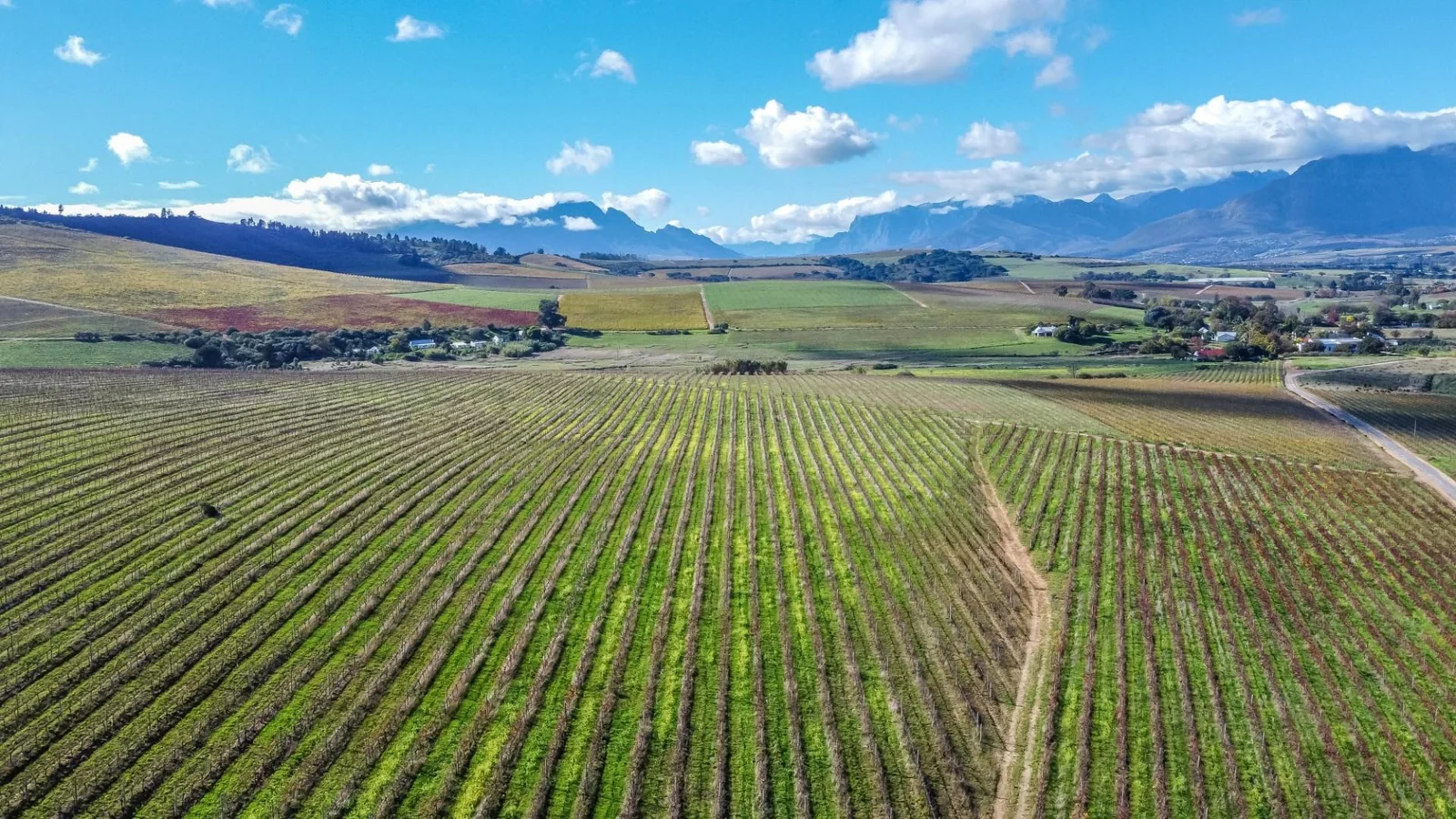 Unique opportunity to own a piece of the Winelands