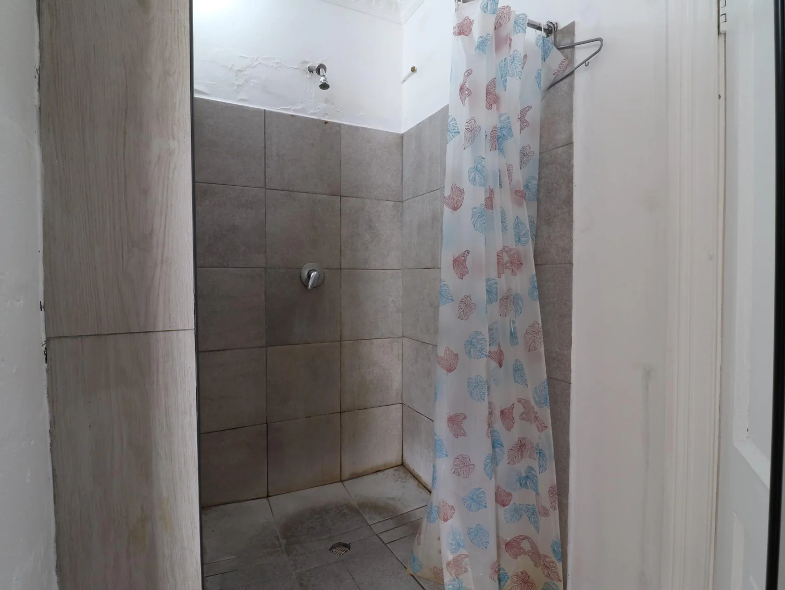 Calling All Investors to Idas Valley